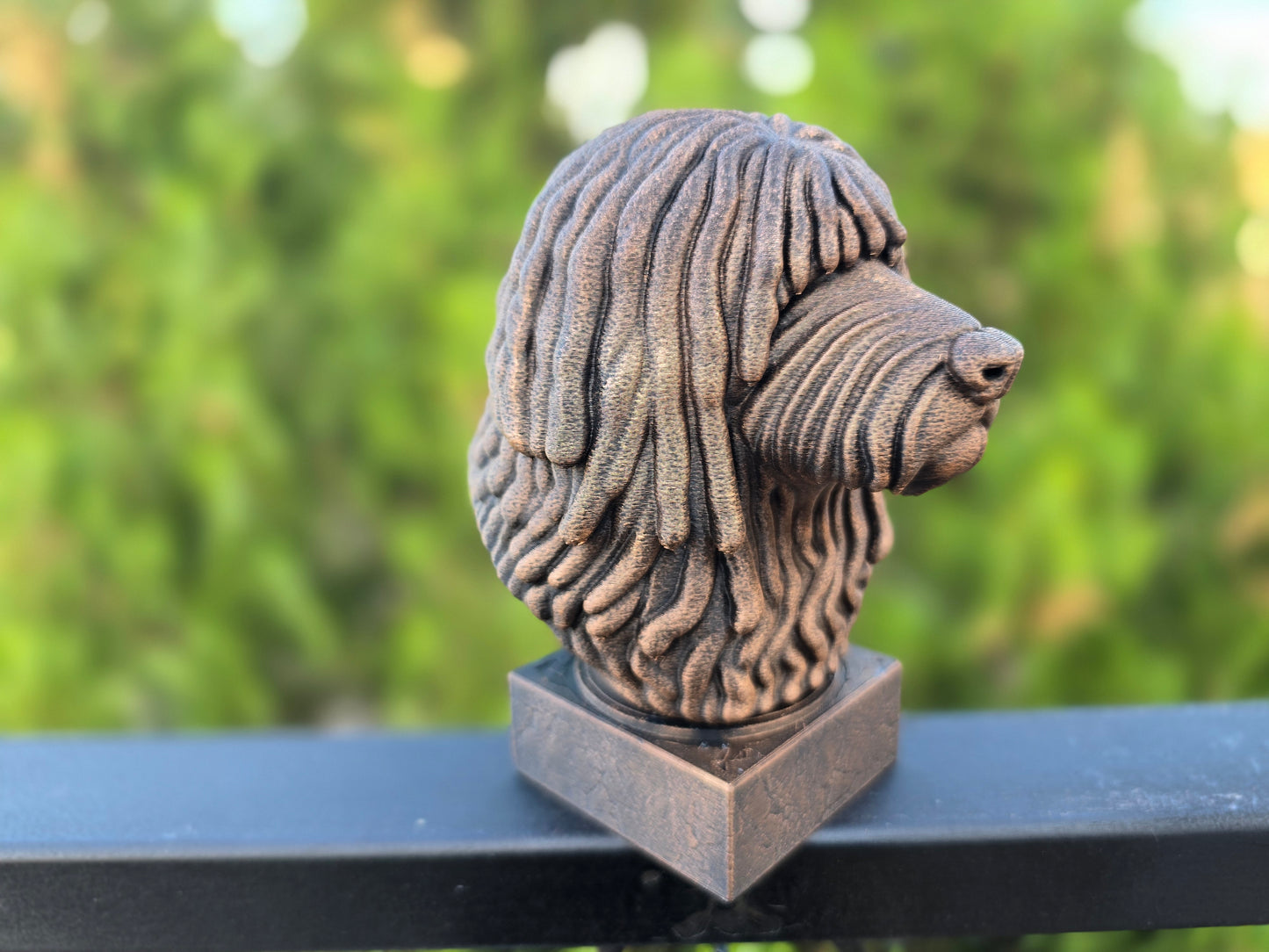 Puli Dog Bust