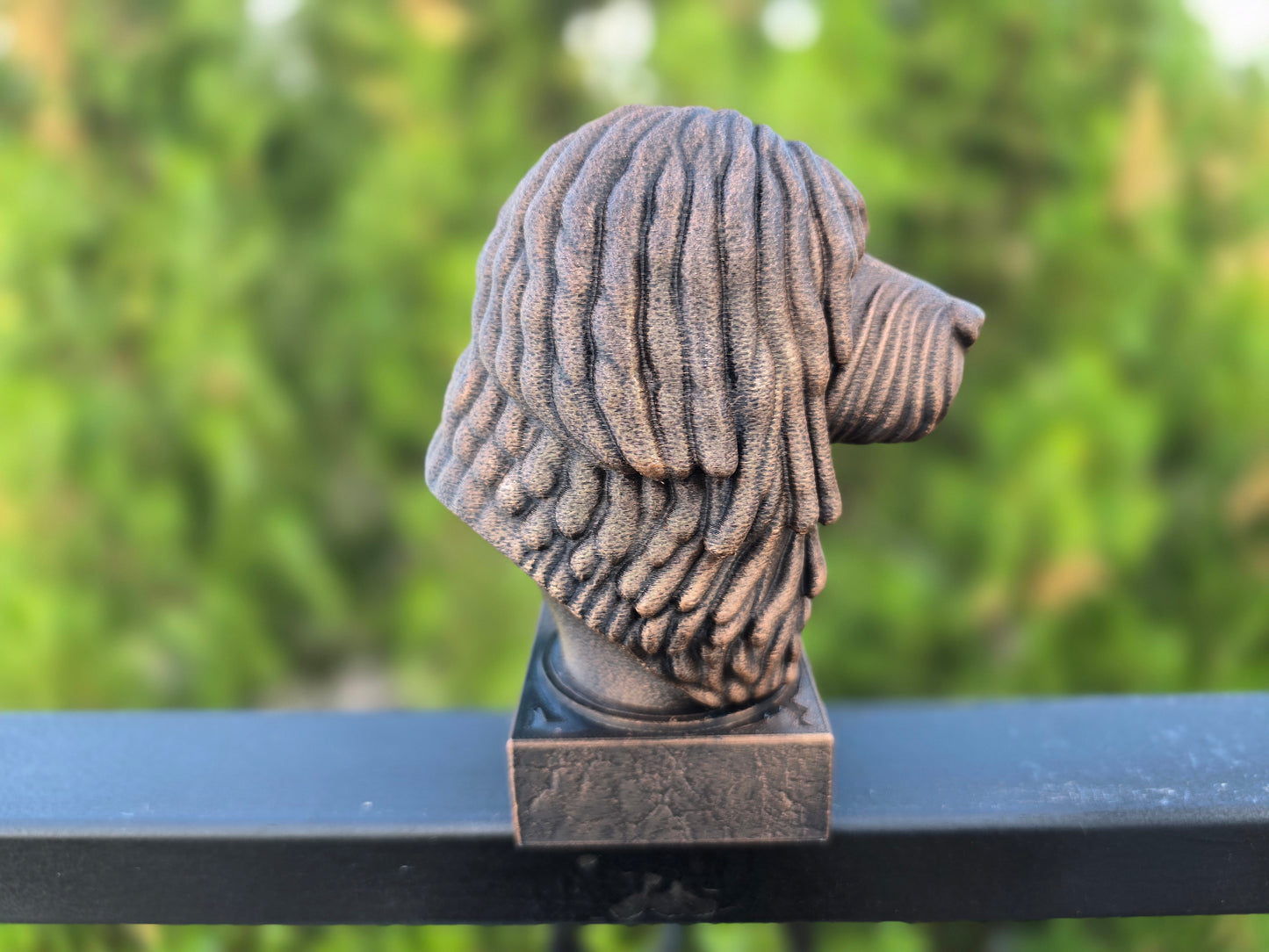 Puli Dog Bust
