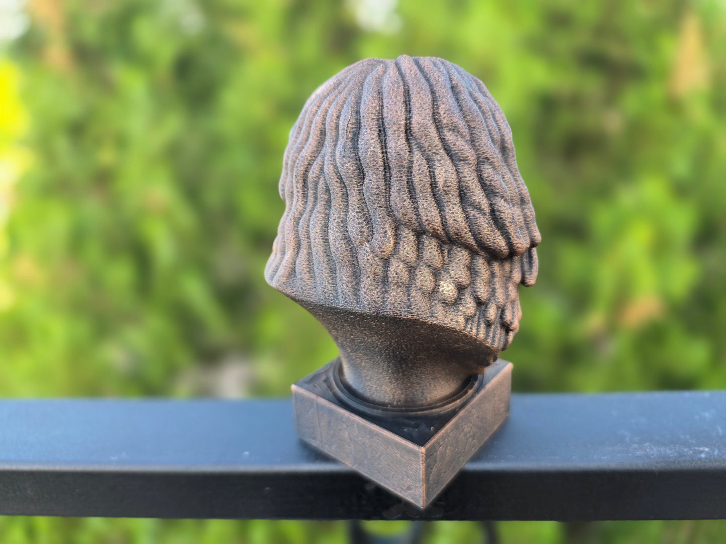 Puli Dog Bust