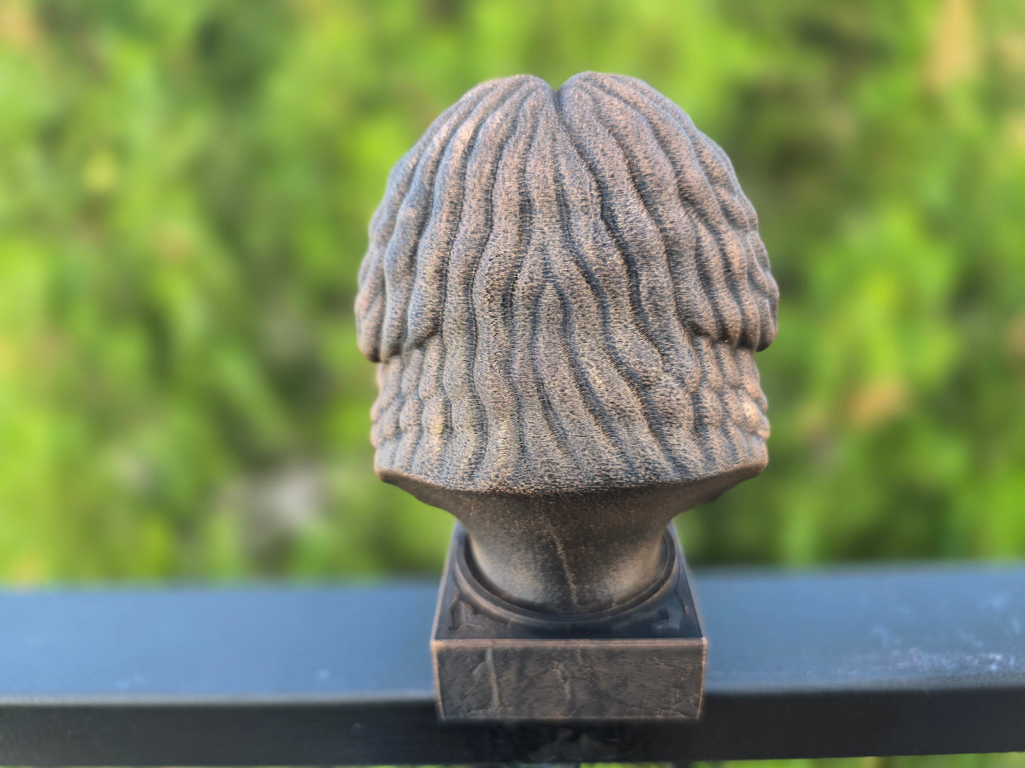 Puli Dog Bust