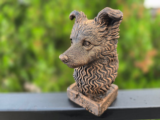 Pumi Bust