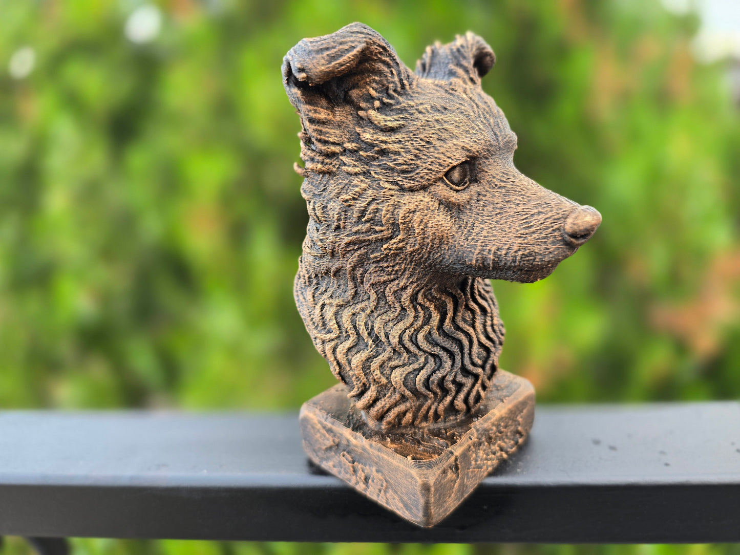 Pumi Bust