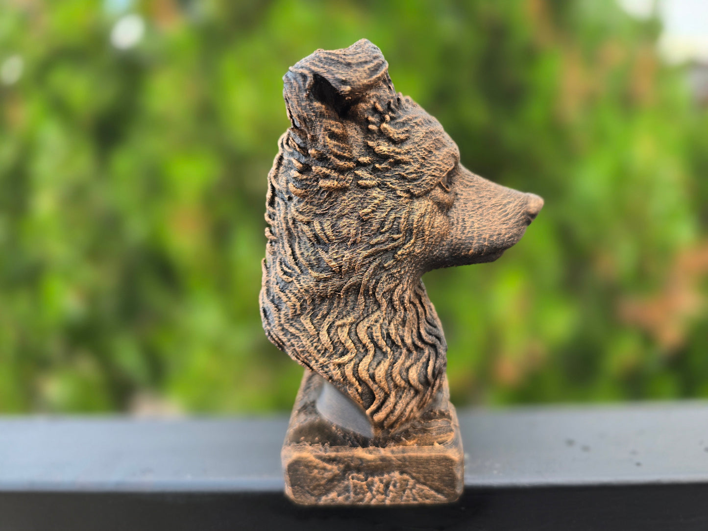 Pumi Bust