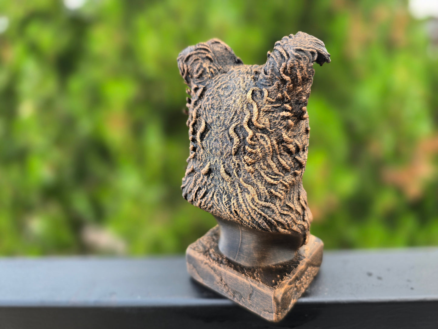 Pumi Bust