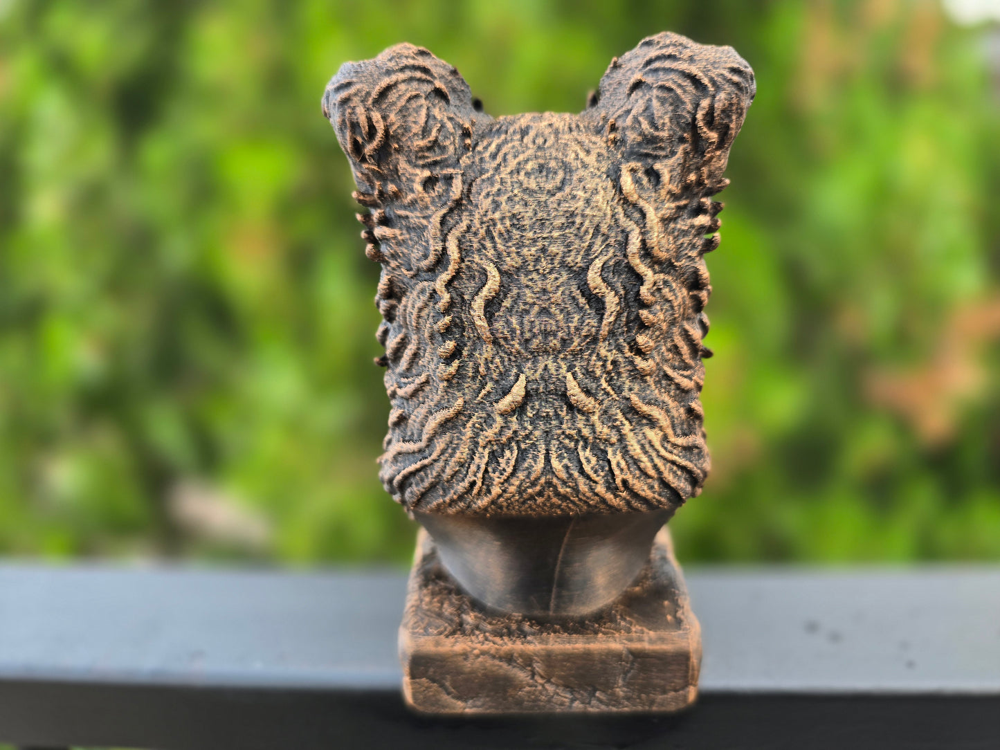 Pumi Bust