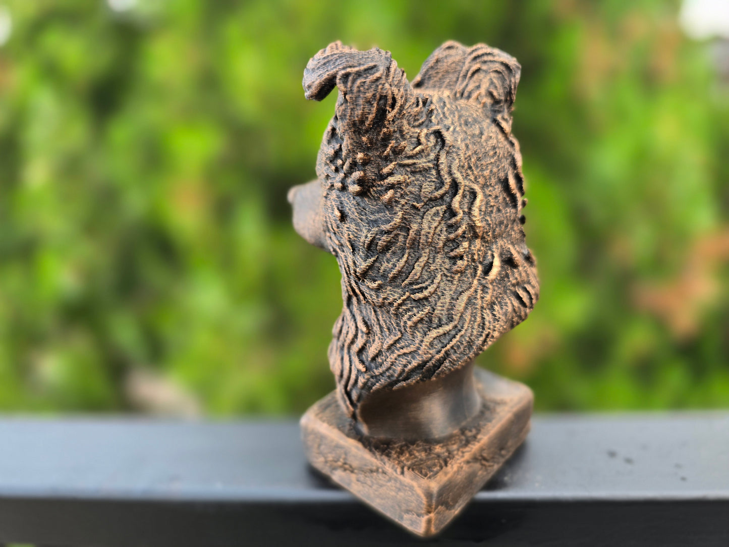 Pumi Bust