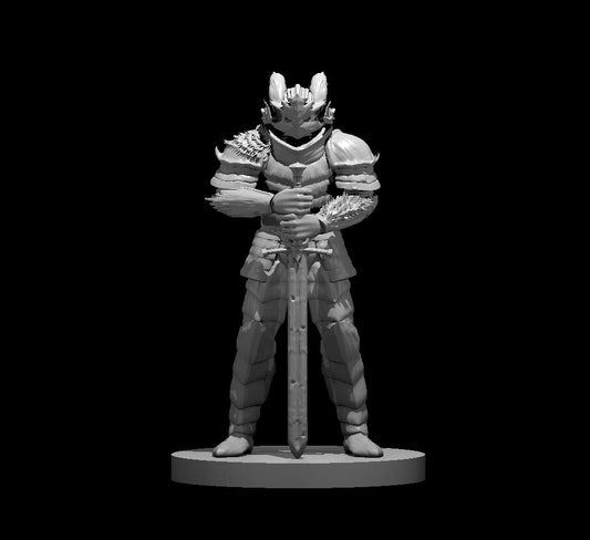 Dungeons & Dragons Paladin of the Ancients Miniature