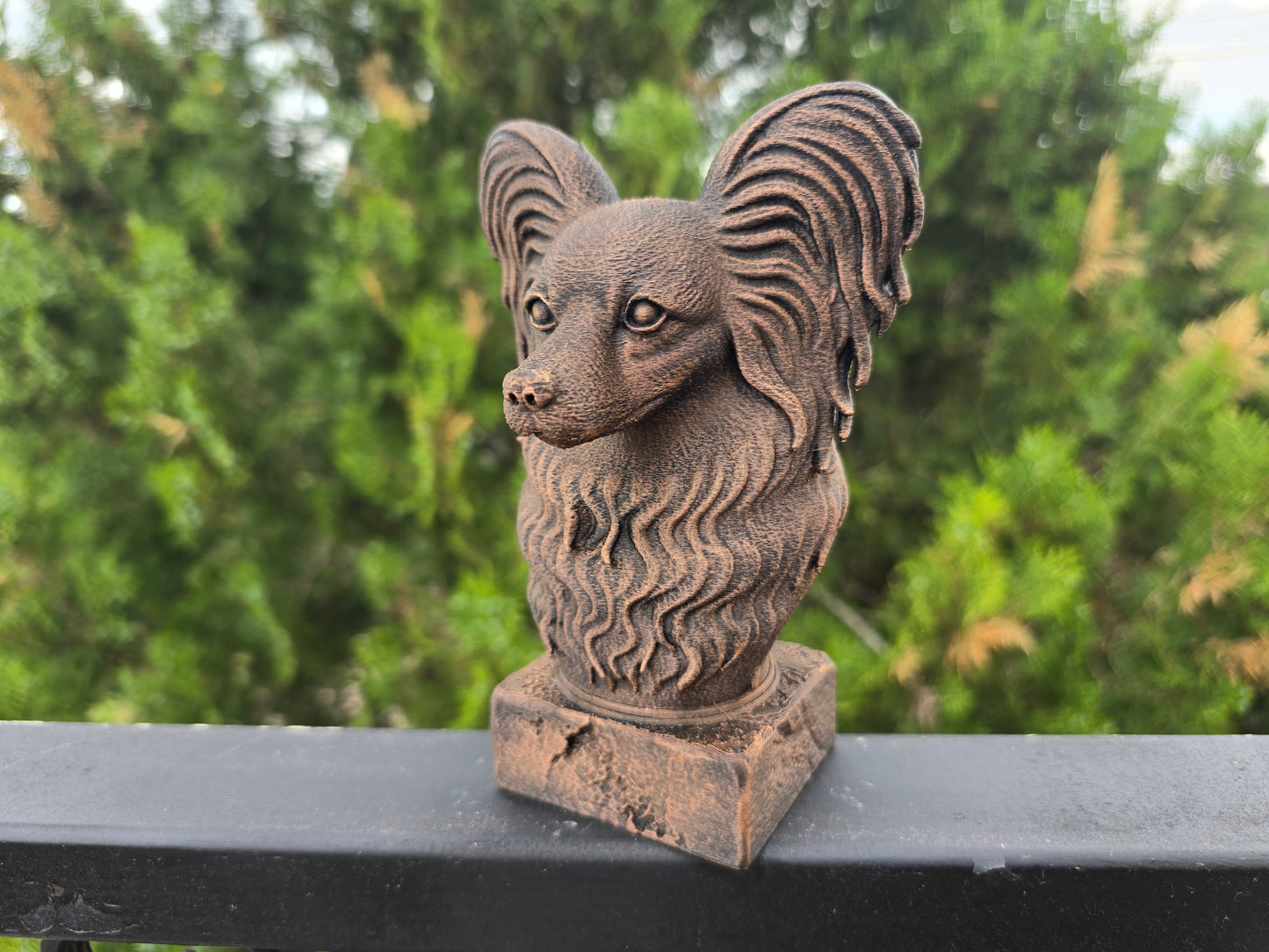 Papillon Bust
