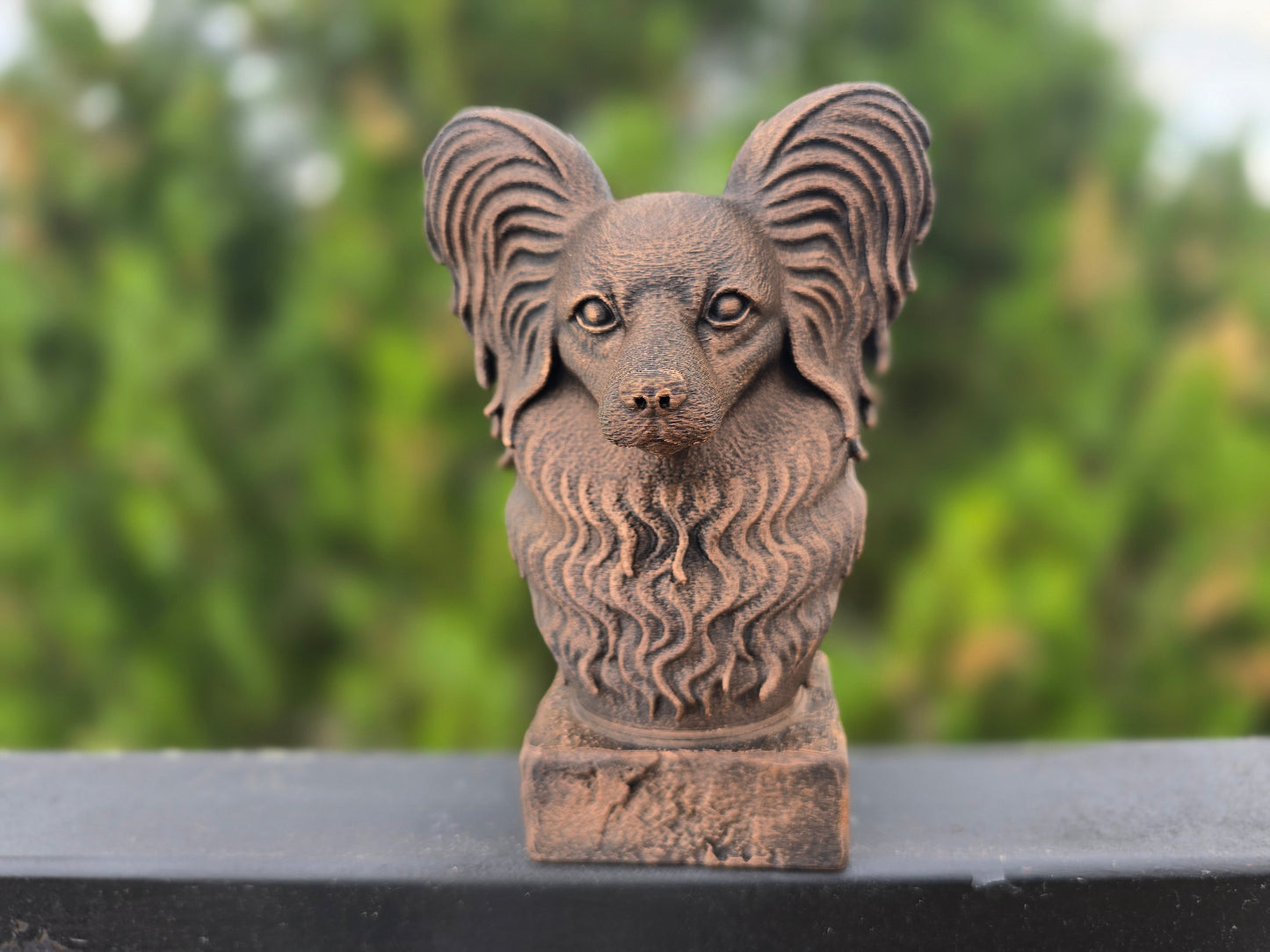 Papillon Bust