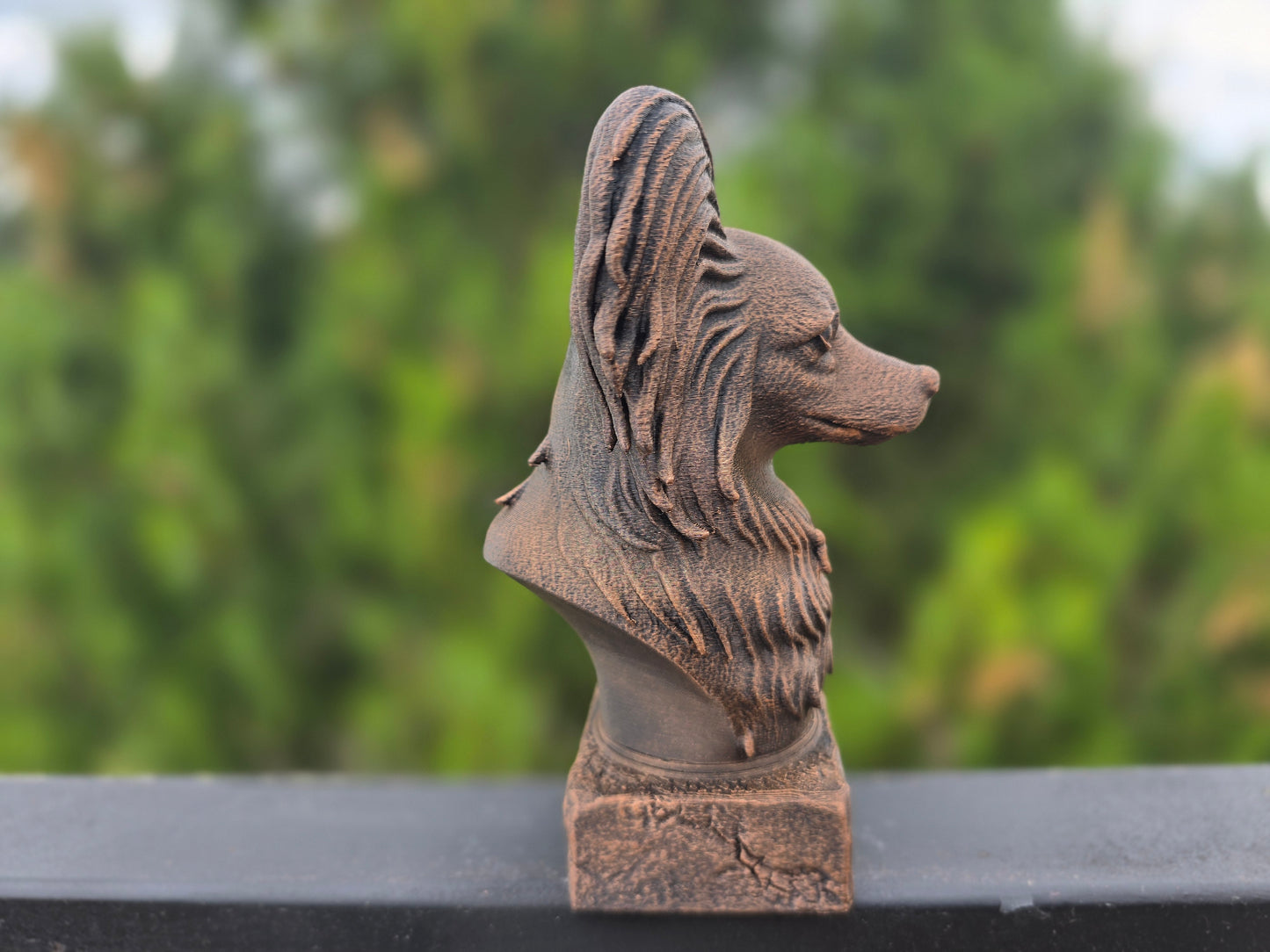 Papillon Bust