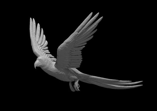 Dungeons & Dragons Parrot Miniature