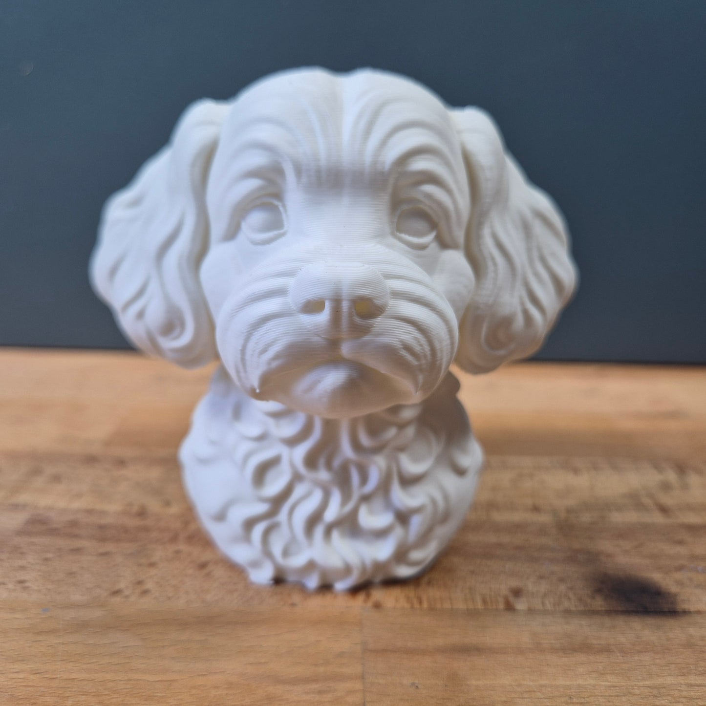 Peekapoo Bust