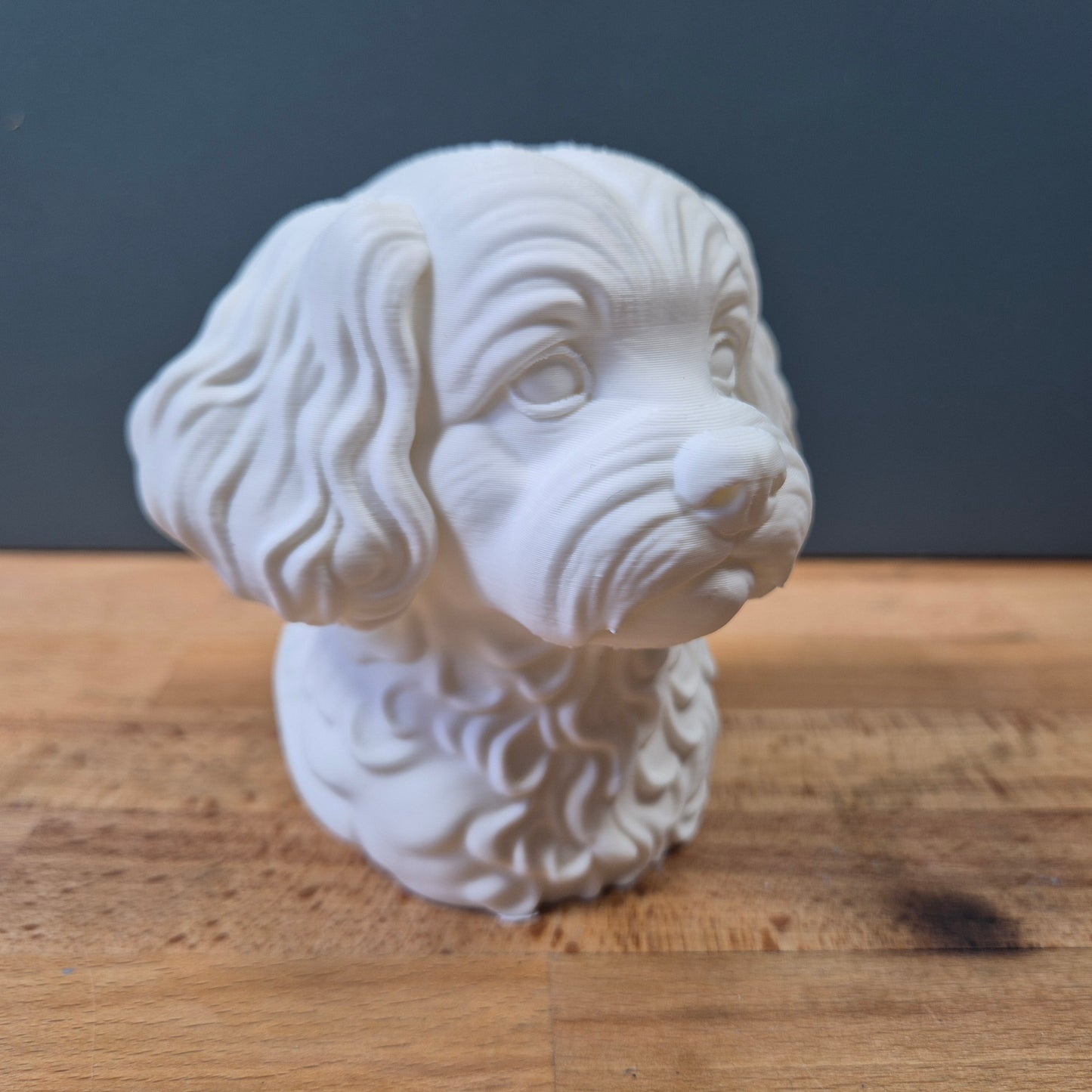 Peekapoo Bust