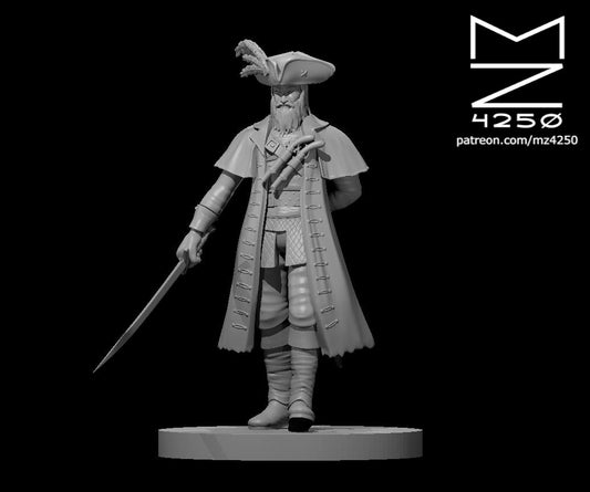 Dungeons & Dragons Pirate Captain Male Miniature