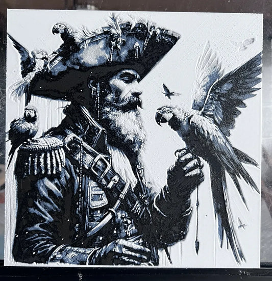 Pirate with parrot