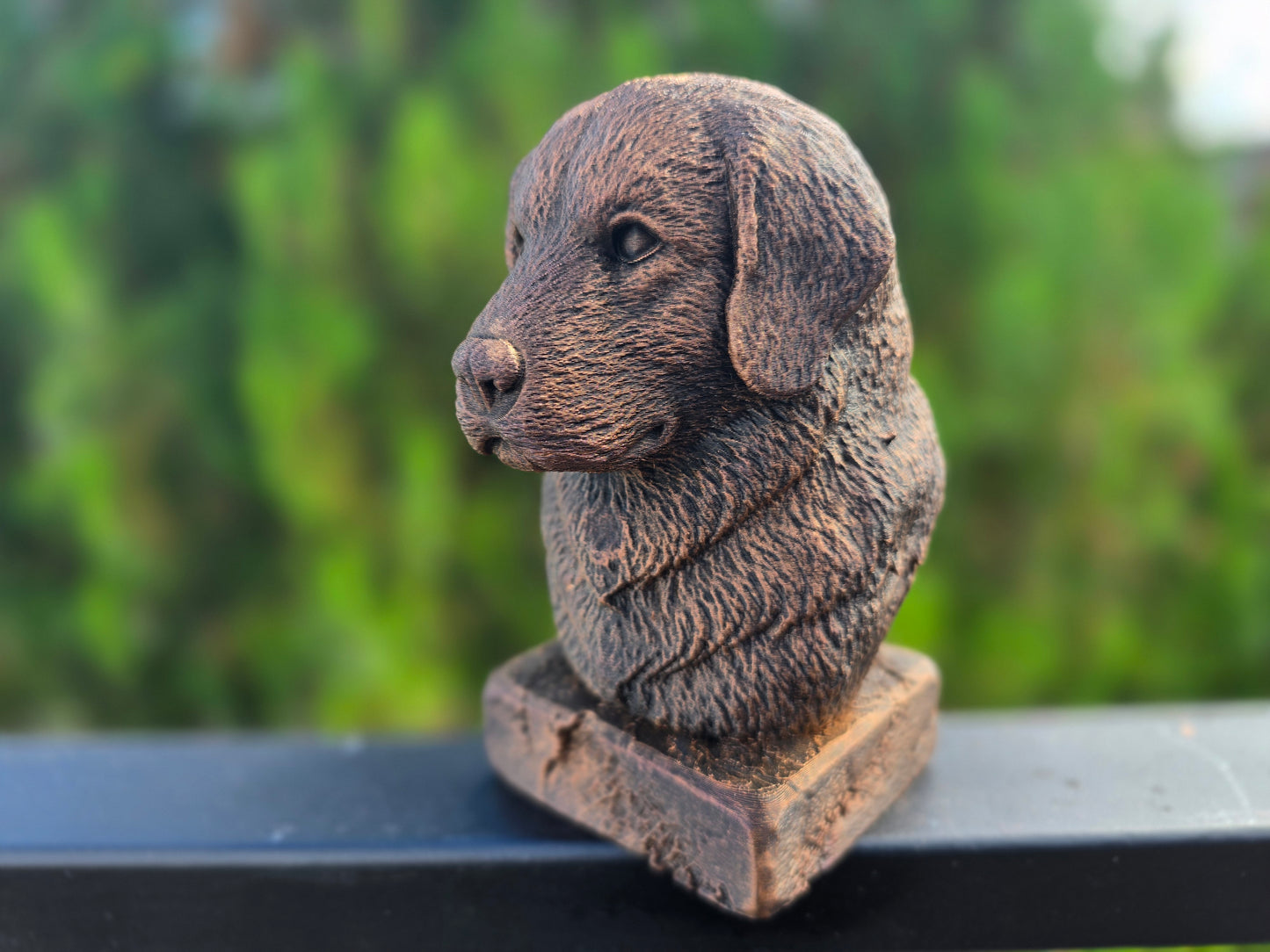 Polish Tatra Shepherd Bust