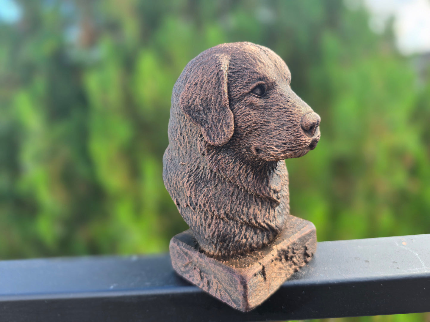 Polish Tatra Shepherd Bust