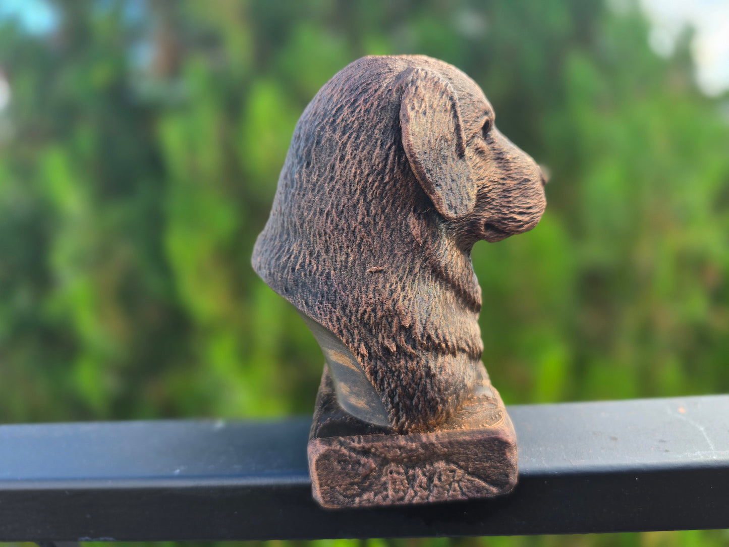 Polish Tatra Shepherd Bust