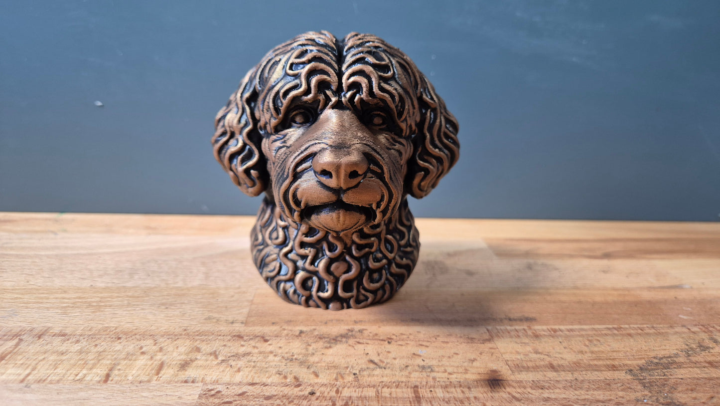Portugese Water Dog Bust