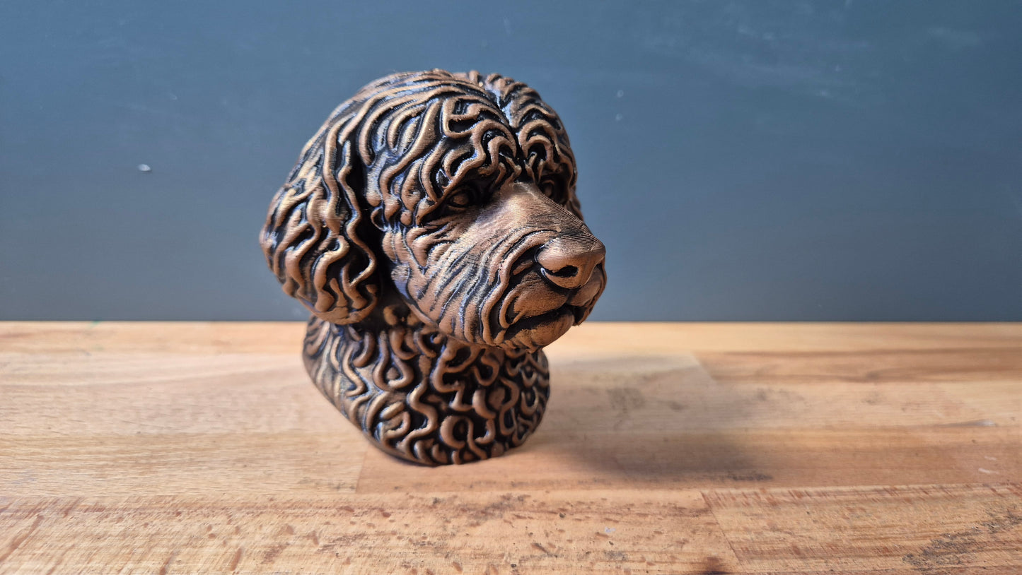 Portuguese Water Dog Bust