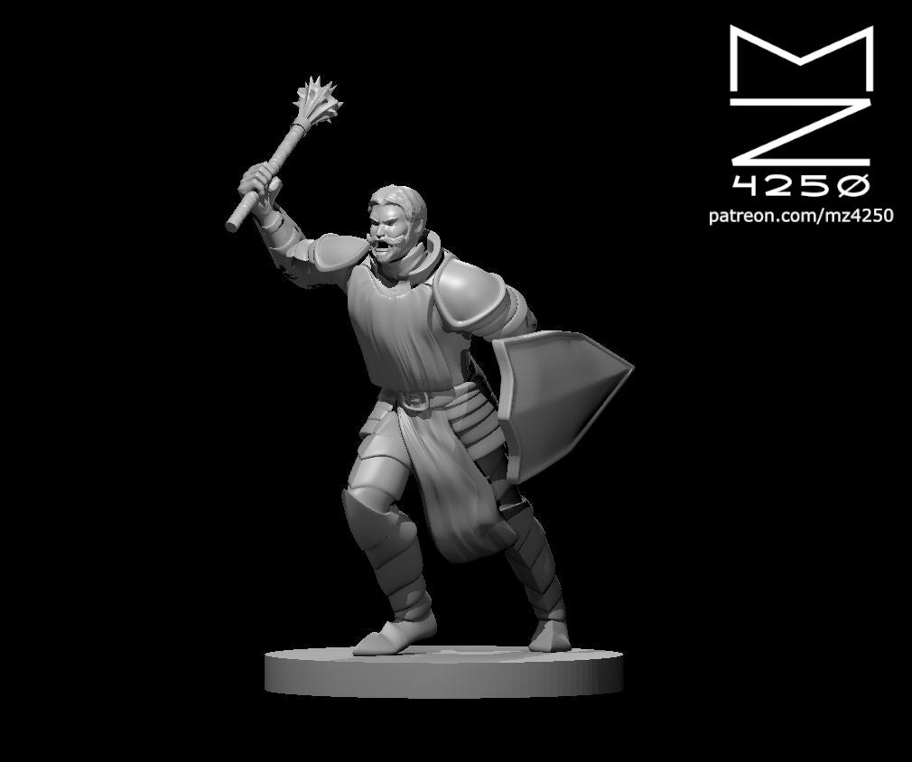 Dungeons & Dragons Priest Male Miniature