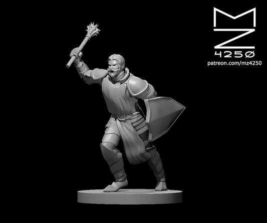 Dungeons & Dragons Priest Male Miniature