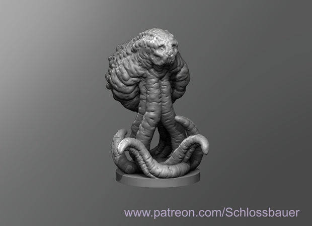 Dungeons & Dragons Quatoid Miniature