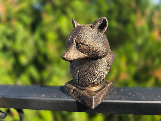 Racoon Bust
