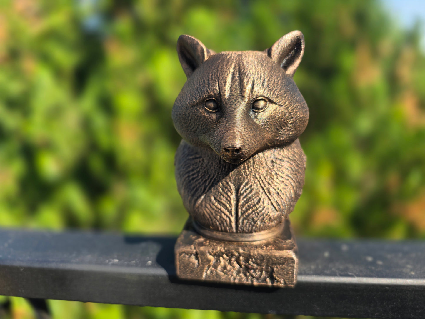 Racoon Bust
