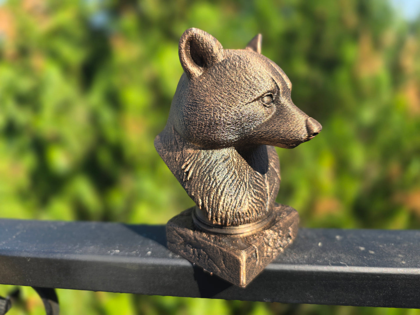 Racoon Bust