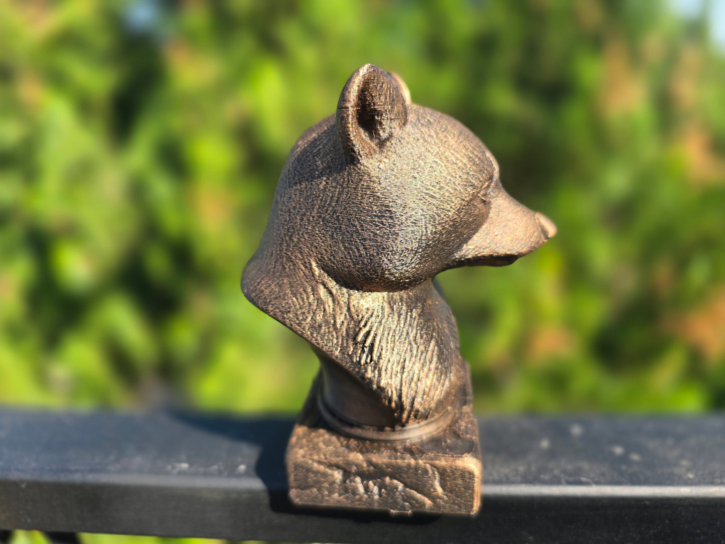 Racoon Bust