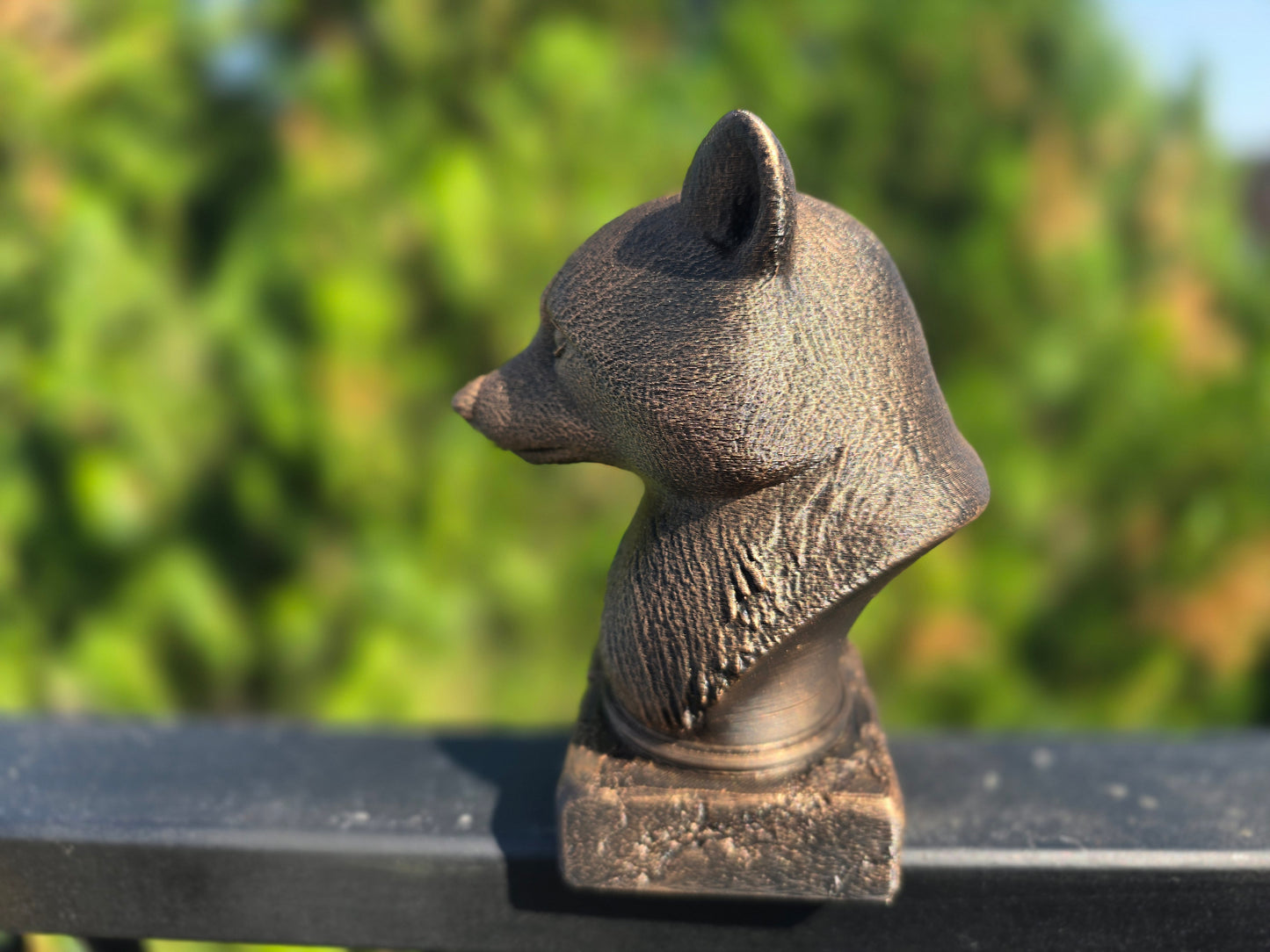 Racoon Bust