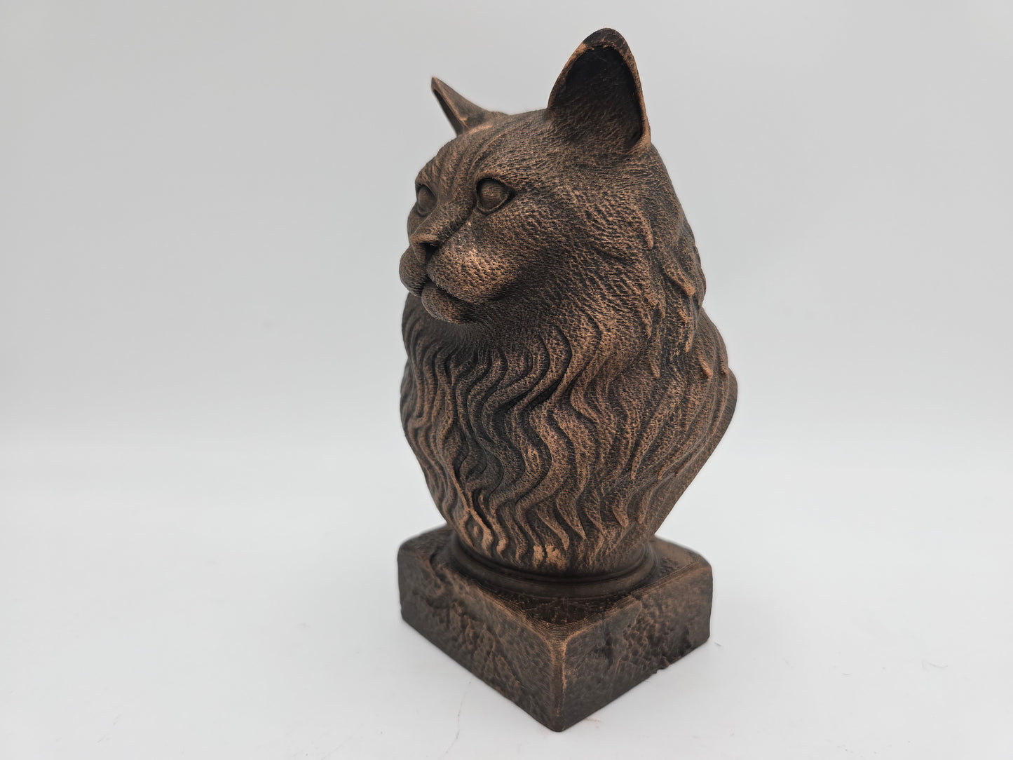 Ragdoll Cat Bust