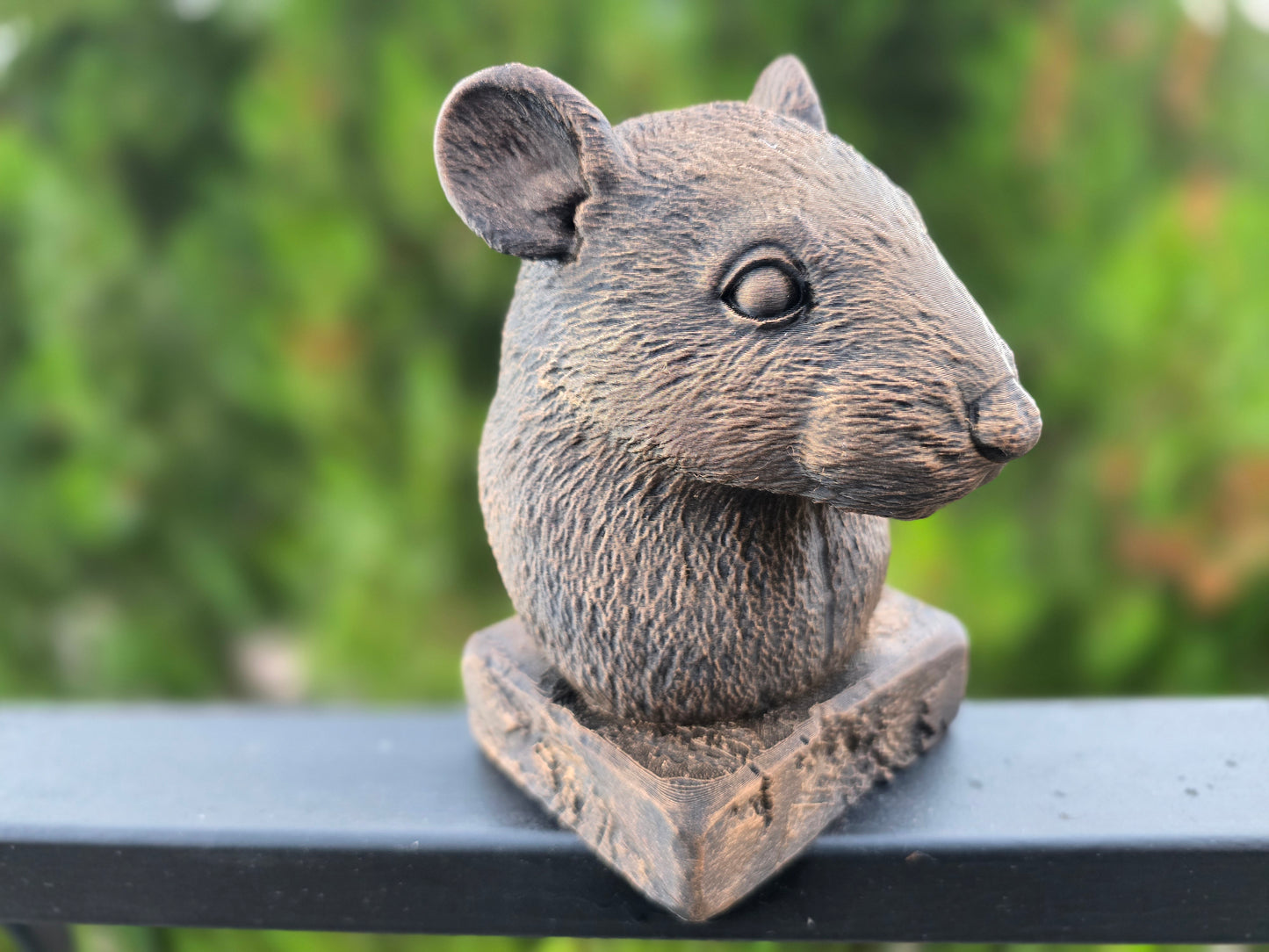 Rat Bust