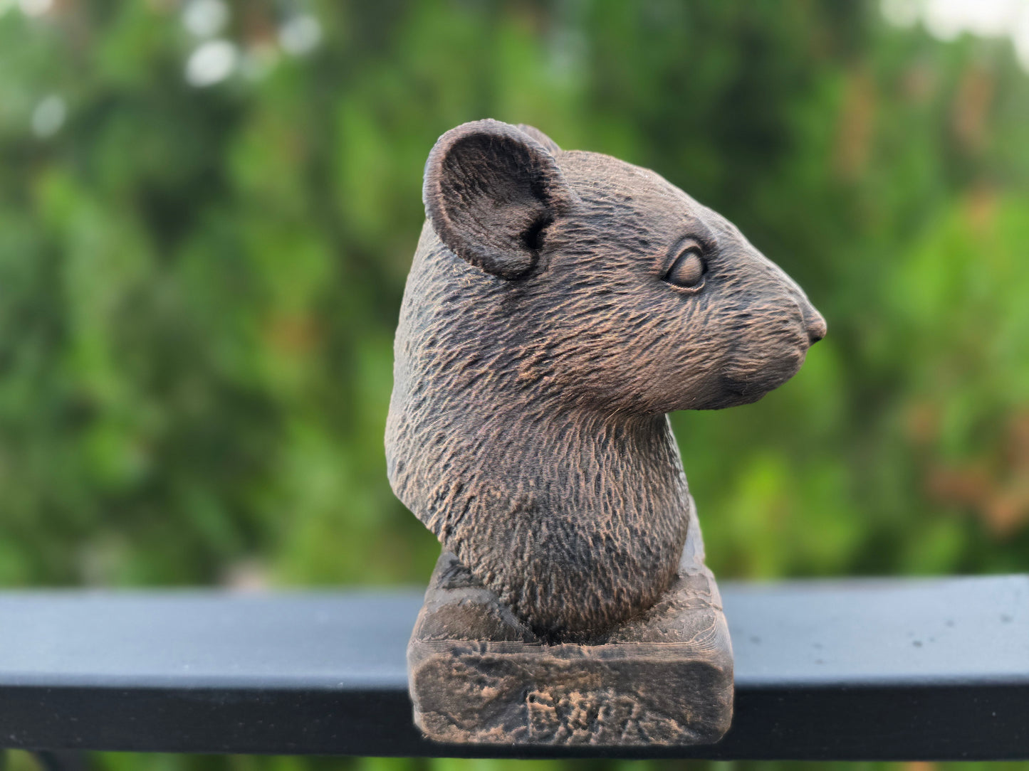Rat Bust