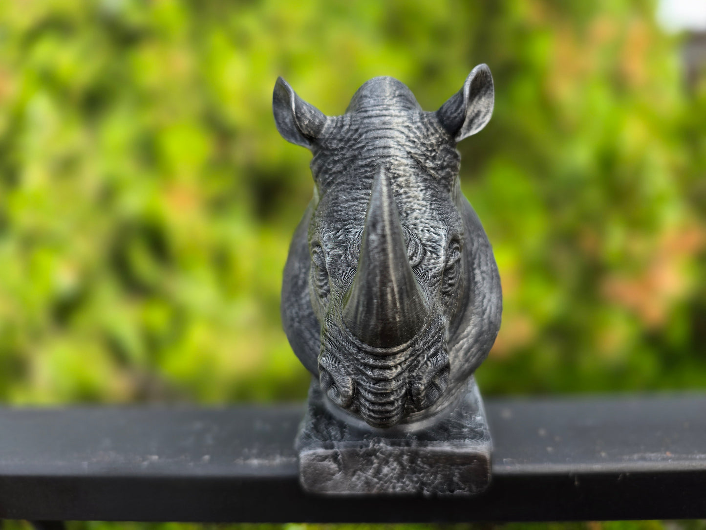 Rhinoceros Bust