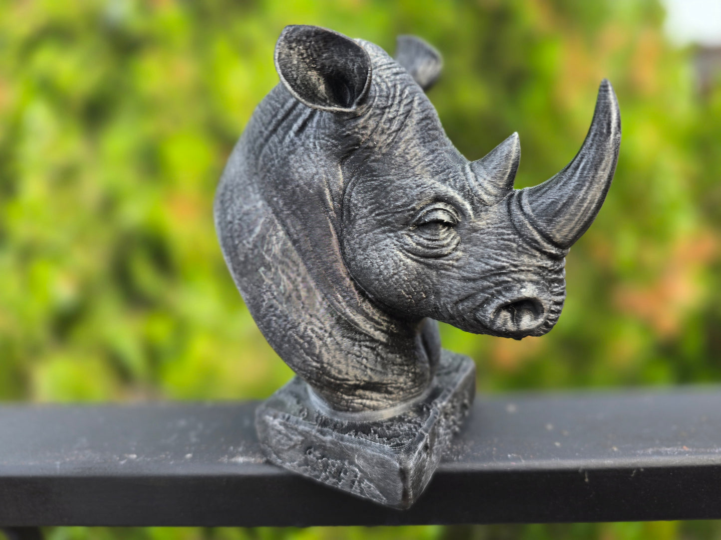 Rhinoceros Bust