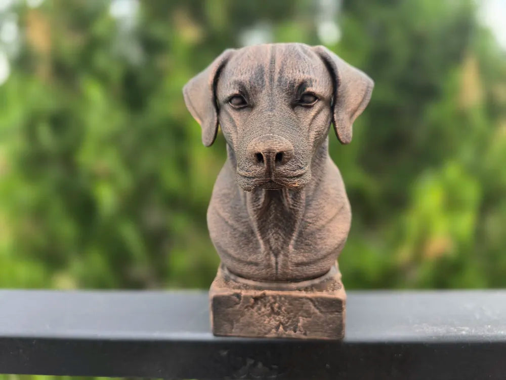 Rhodesian Ridgeback Bust