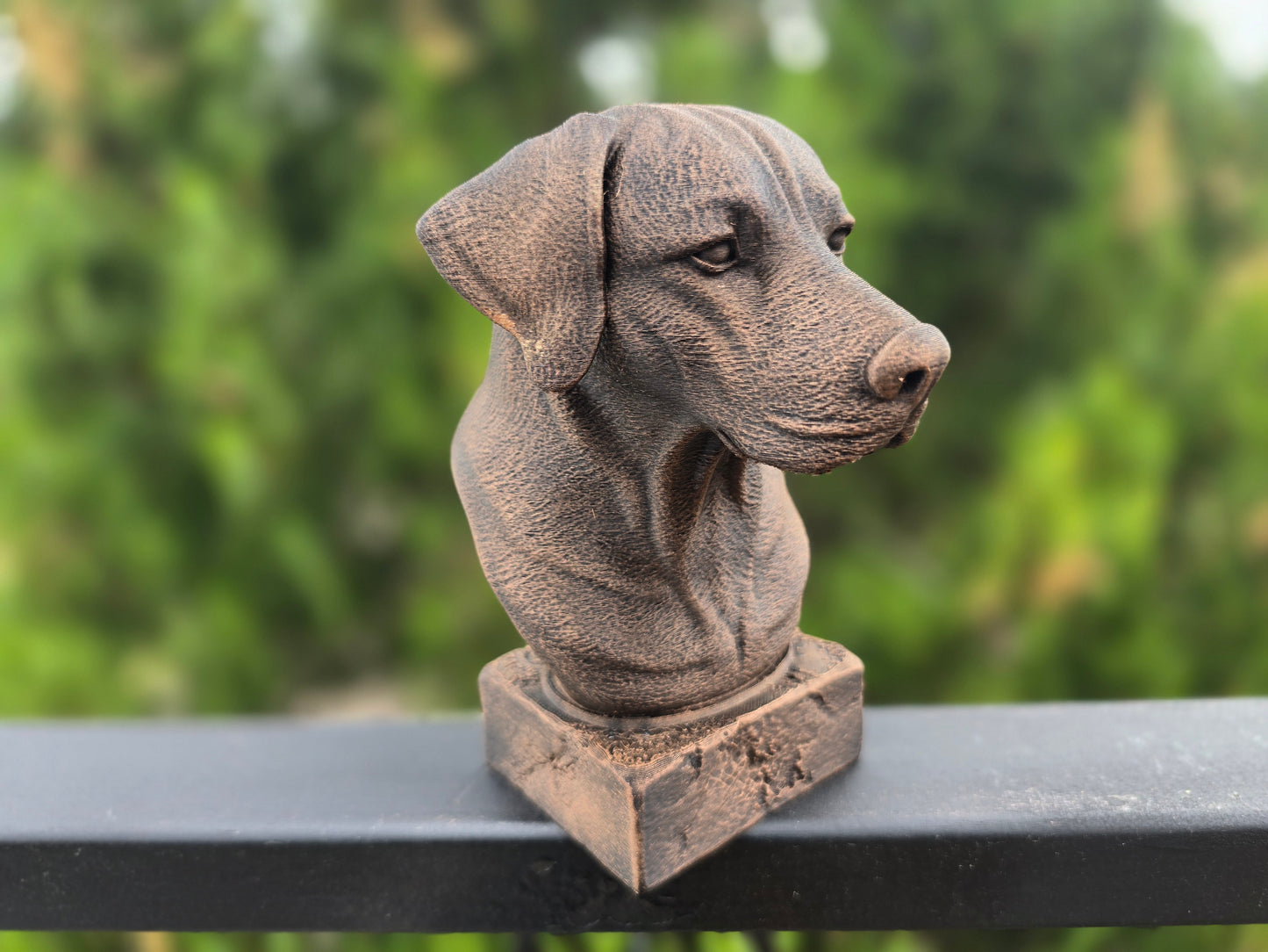 Rhodesian Ridgeback Bust