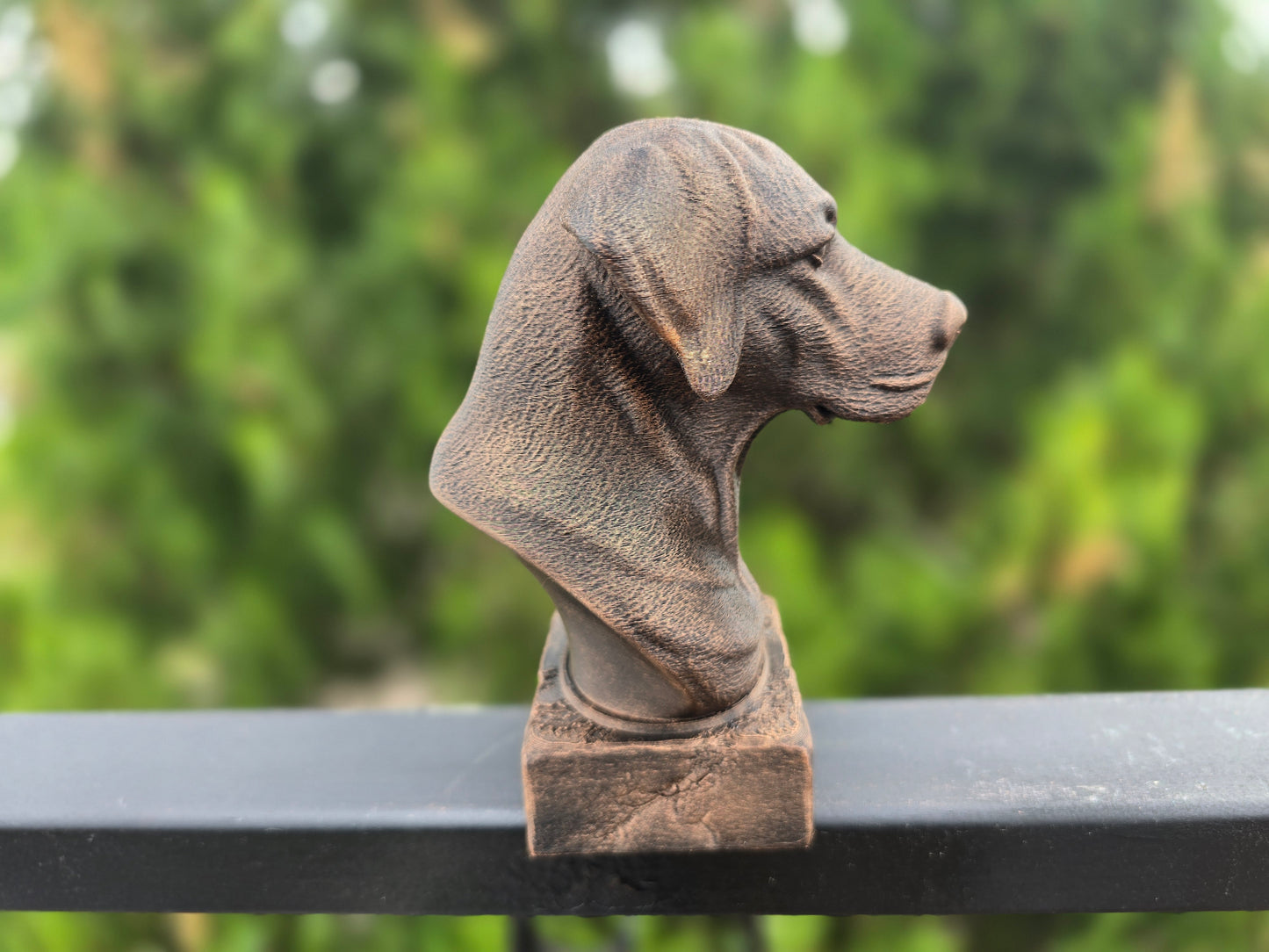 Rhodesian Ridgeback Bust