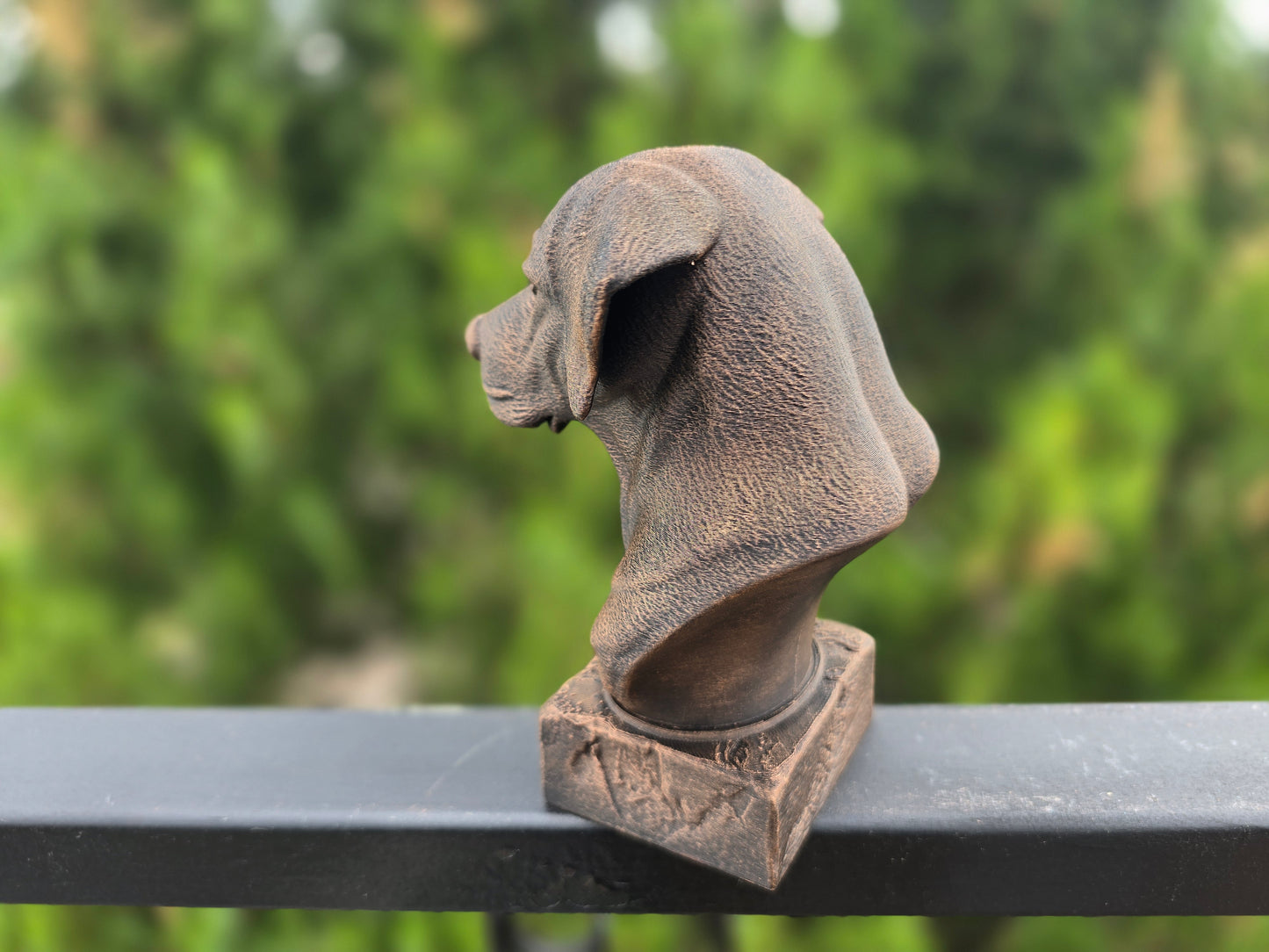 Rhodesian Ridgeback Bust