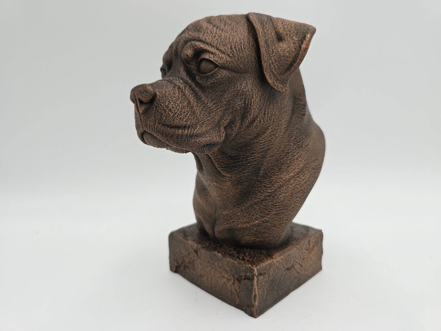 Rottweiler Bust
