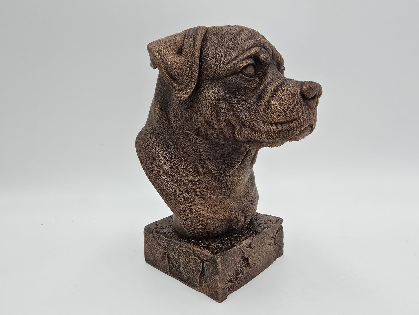 Rottweiler Bust