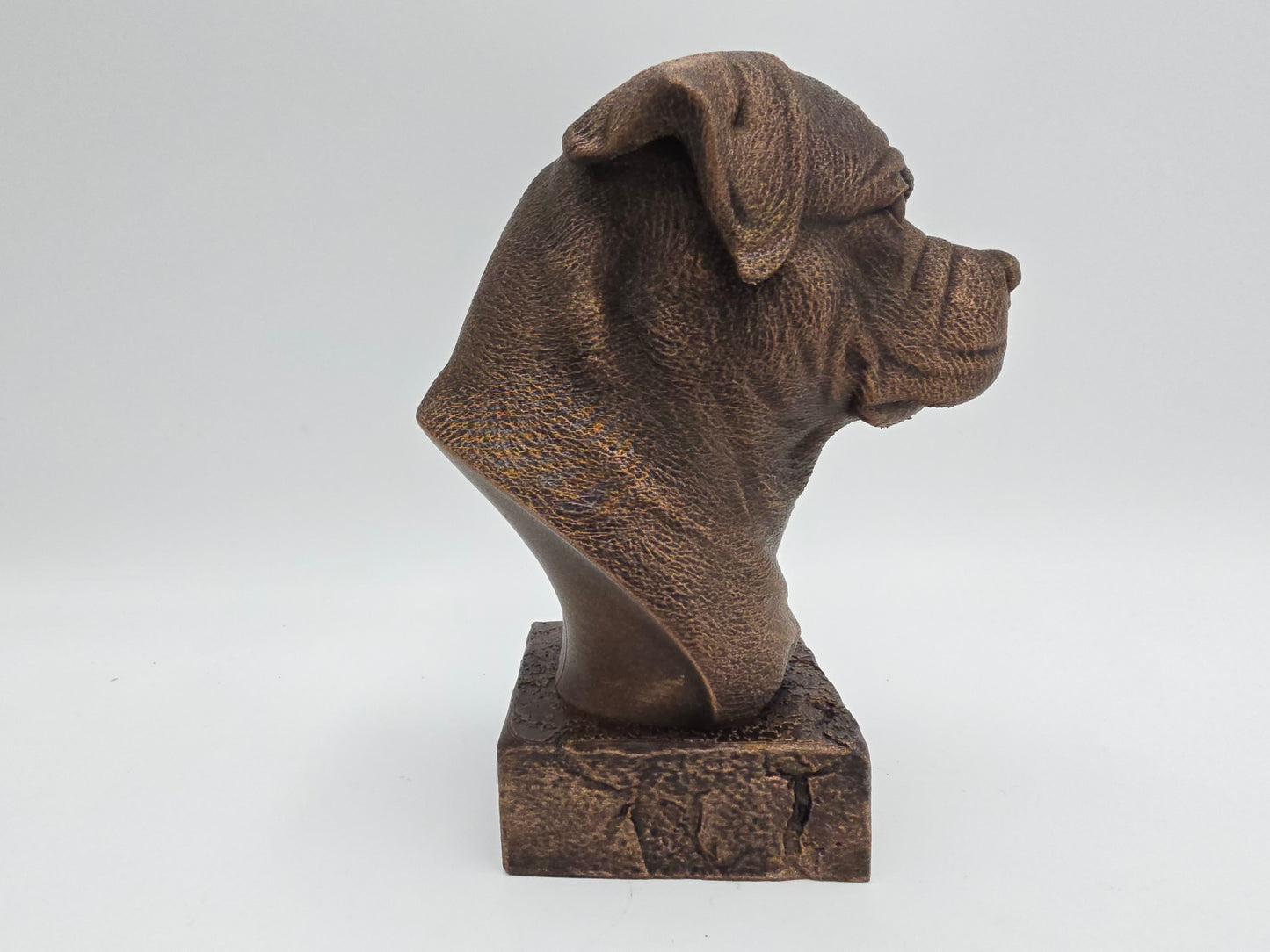 Rottweiler Bust