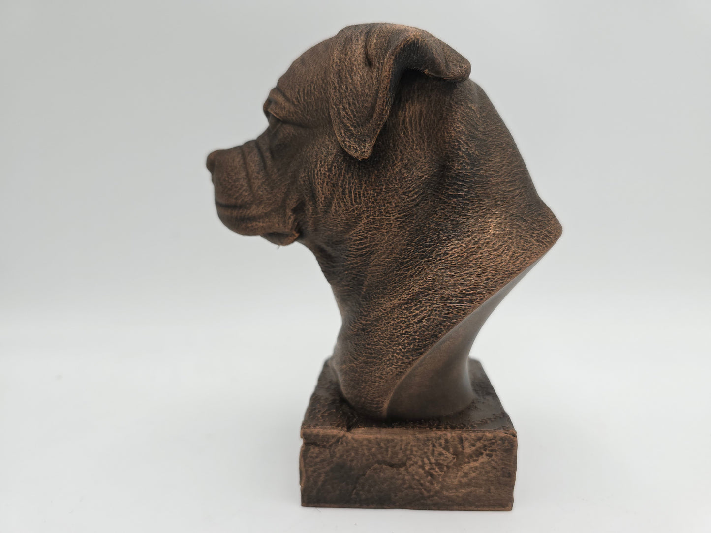 Rottweiler Bust
