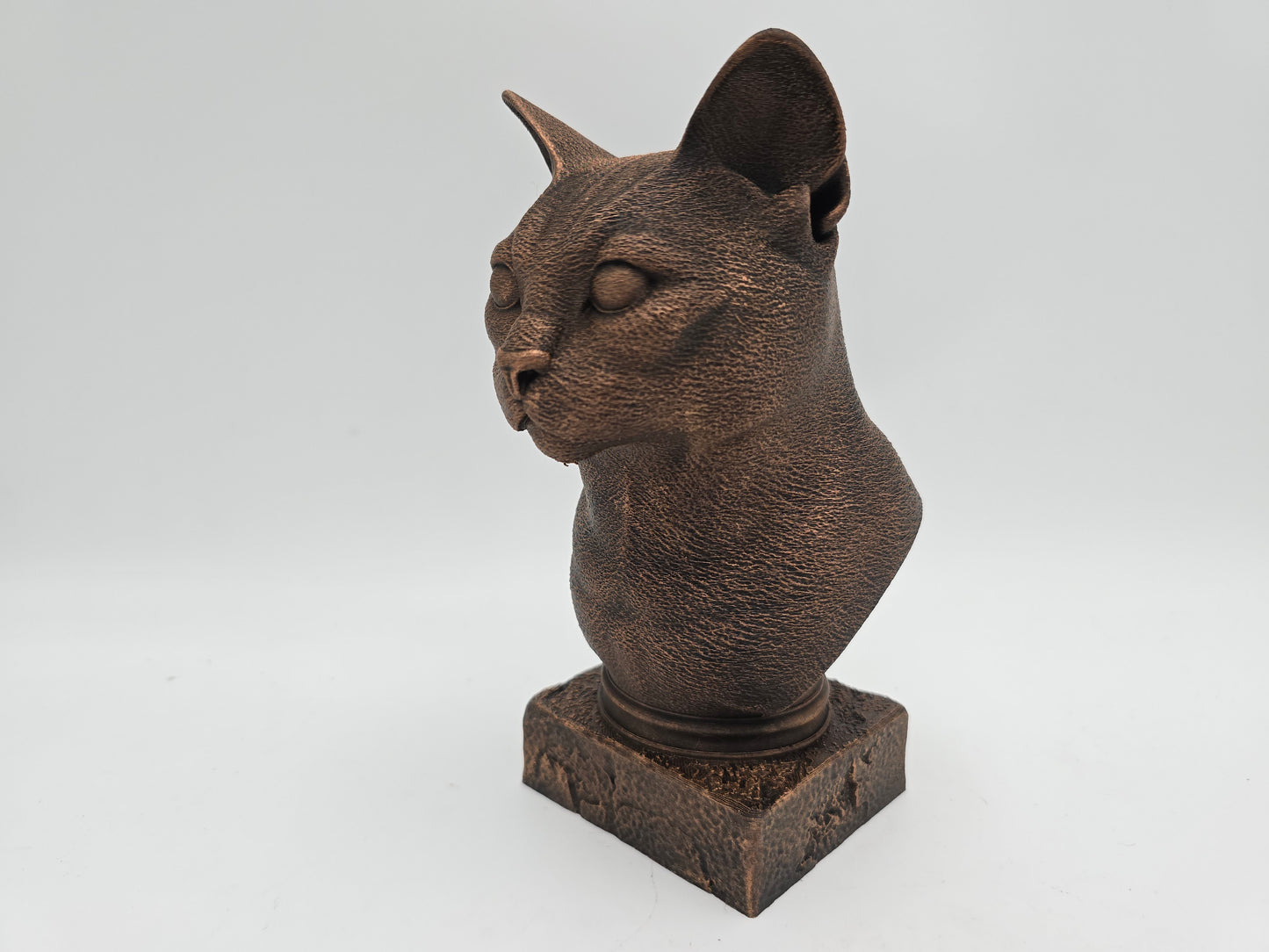 Russian Blue Cat Bust
