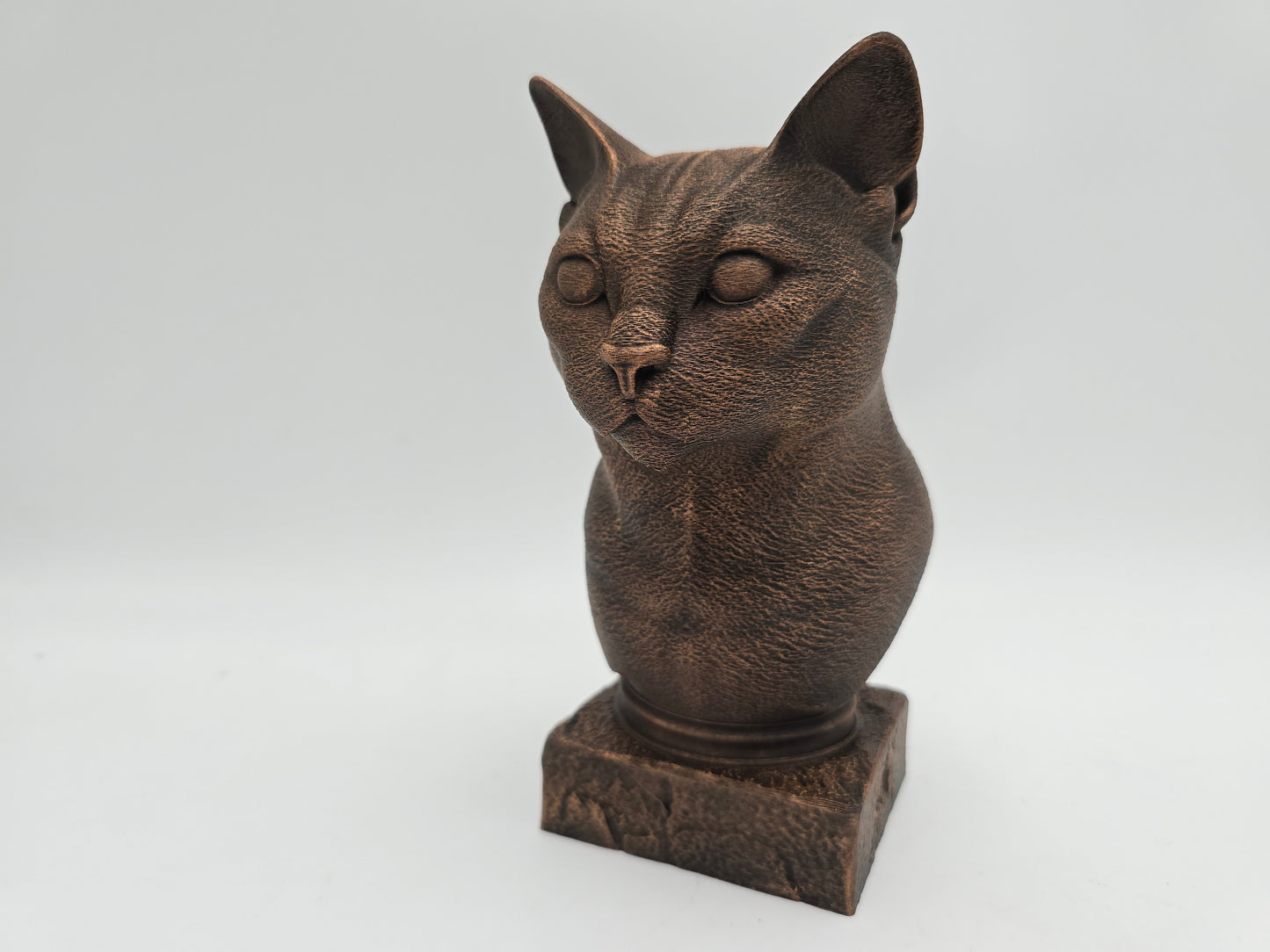 Russian Blue Cat Bust