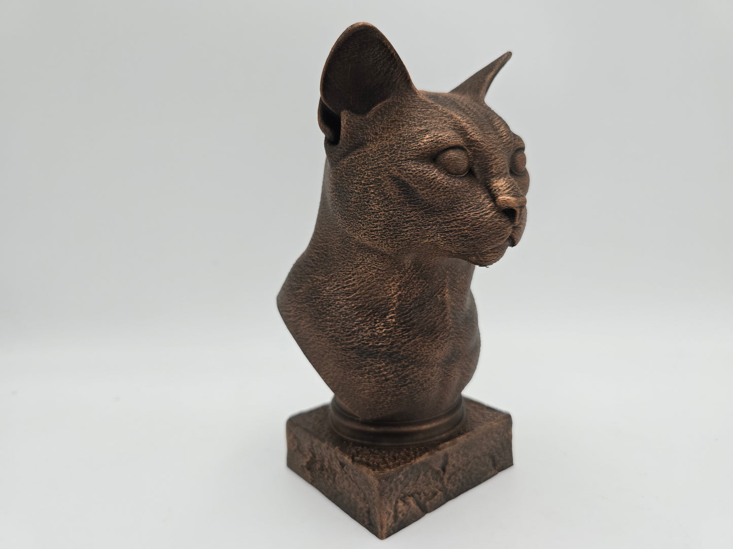 Russian Blue Cat Bust