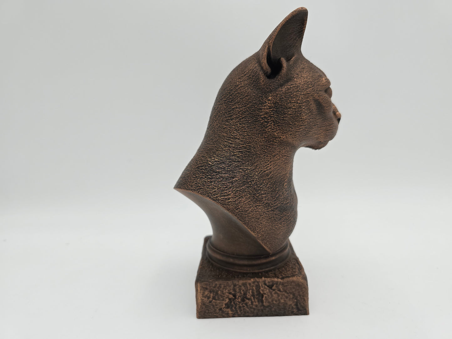 Russian Blue Cat Bust