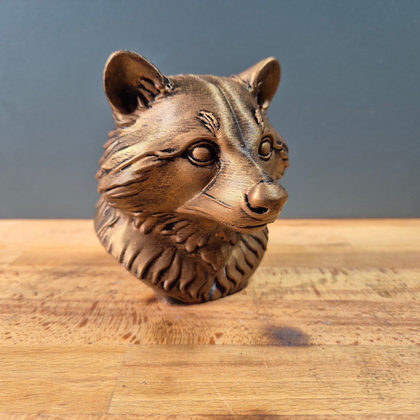 Raccoon Bust
